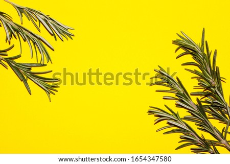 Green sprigs of rosemary on a yellow background. Food, spices, background for menu concept.