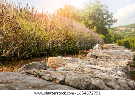 stone background of free space for your decoration and spring landscape 