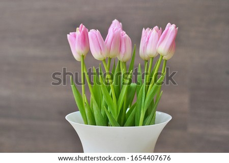 Beautiful light pink tulips bouquet with fresh green leaves in the white vase pot on the gray wooden background. Floral shop and holidays concept. Spring symbol picture