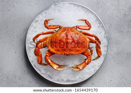 Boiled dungeness crab on ice over gray concrete background. Overhead view, close up. Seafood background Royalty-Free Stock Photo #1654439170