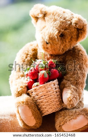 strawberries in natural background