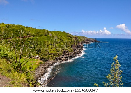 green luxuriant coast of Hawaiian islands with blue water during hot summer