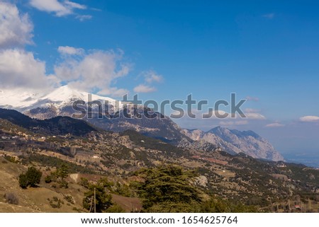 Dried cedar and snowy mountain views in Turkey