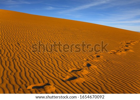 The picturesque chain of footprints in the sand. Mesquite Flat Sand Dunes, California. USA. Orange sunset in the desert. Concept of active, ecological and photo tourism
