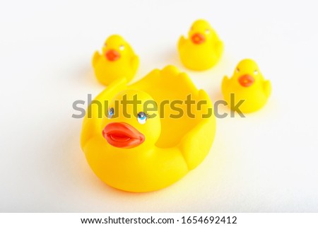 closeup family of yellow toy ducklings on white background