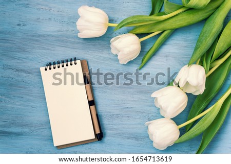 Flowers composition. Delicate white tulip flowers on blue wooden background. Valentine's day, womens day, Mother's day concept. Flat lay, top view, copy space