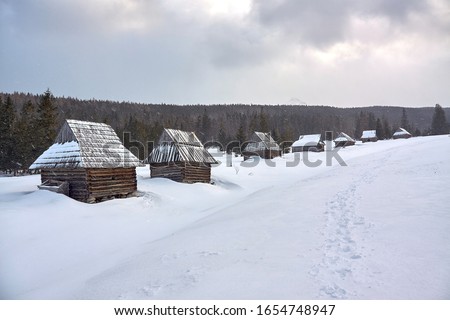 Traditional shepherds' wooden huts in Kopieniec Glade (Polana Kopieniec) in Tatra Mountains, Poland