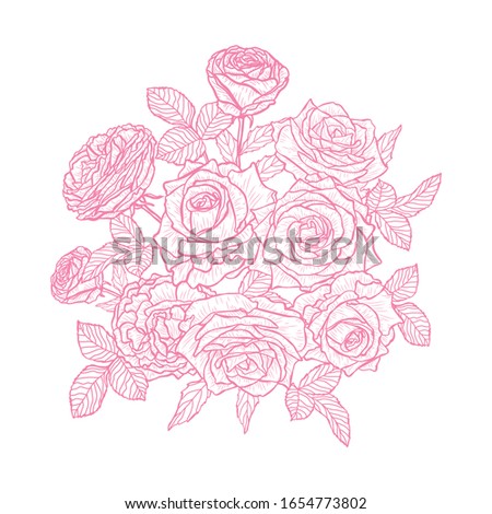 Decorative rose flowers, design elements. Can be used for cards, invitations, banners, posters, print design. Floral background in line art style