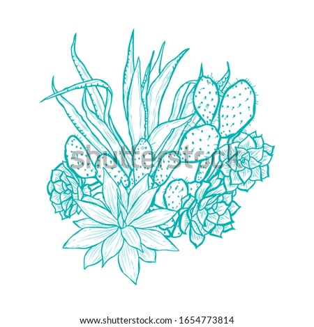 Decorative succulent plants, design elements. Can be used for cards, invitations, banners, posters, print design. Floral background in line art style