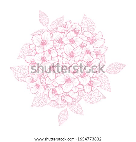 Decorative jasmine flowers, design elements. Can be used for cards, invitations, banners, posters, print design. Floral background in line art style