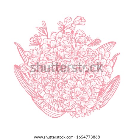 Decorative clivia  flowers, design elements. Can be used for cards, invitations, banners, posters, print design. Floral background in line art style