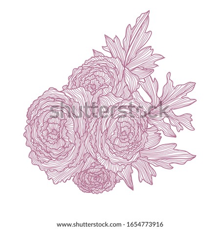 Decorative ranunculus   flowers, design elements. Can be used for cards, invitations, banners, posters, print design. Floral background in line art style