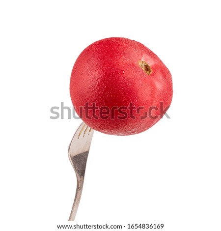 Red tomato on fork, harvesting design isolate on a white background.