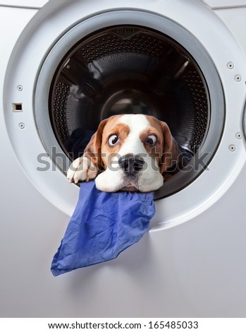 Very delicate washing Royalty-Free Stock Photo #165485033