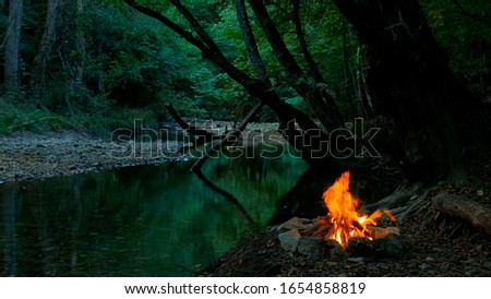 Bonfire in the forest near the river.