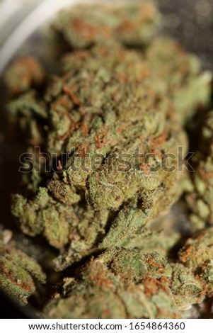 Cannabis close up super skunk lemon haze background stock photos high quality