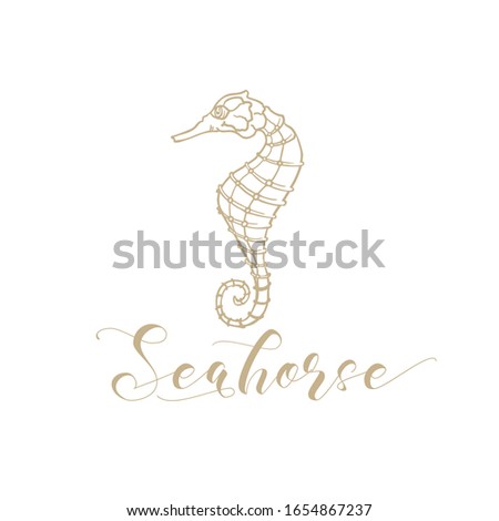Seahorse vector logo for seafood store and fish market shop. Marine seahorse and starfish of premium quality stars with golden calligraphy in thin line drawing art design and pencil hatching style