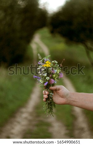 a bouquet of wild flowers in the hand of a man on the background of the road in the field