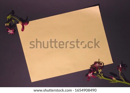 black background notes with flower frames