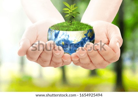 Human hands holding the earth with growing plants above it in the park. Earth day concept