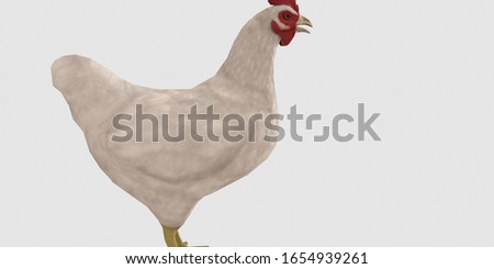 Extremely detailed and realistic high resolution 3D image of a Chicken. Isolated on white background.