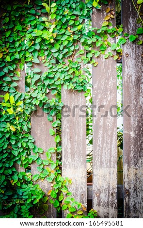 Abstract wood texture using background