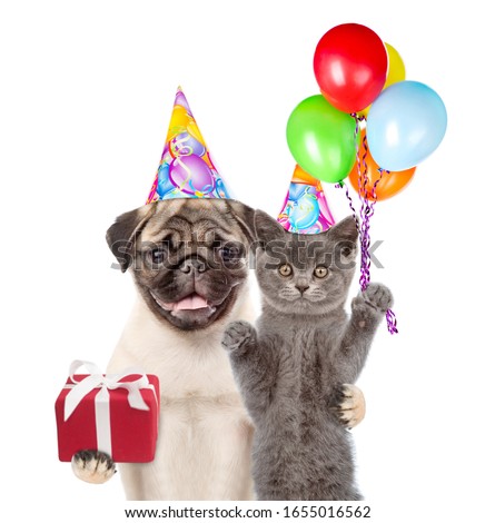 Kitten and puppy wearing party hats hold balloons and gift box. isolated on white background.