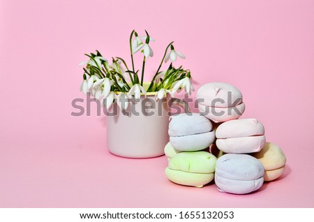 Spring flowers snowdrops in a pink mug and vibrant marshmallows on pink background. Spring pastel trendy still life for design, fresh wallpaper, place for text
