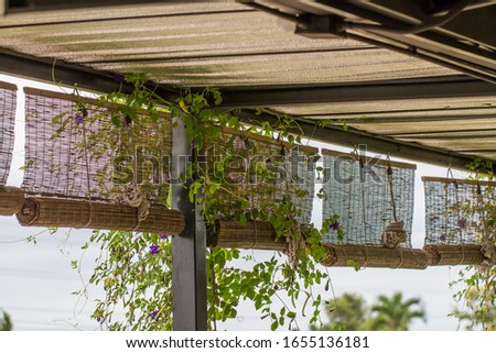 Bamboo blinds asian traditional home decoration. awnings woven with bamboo.