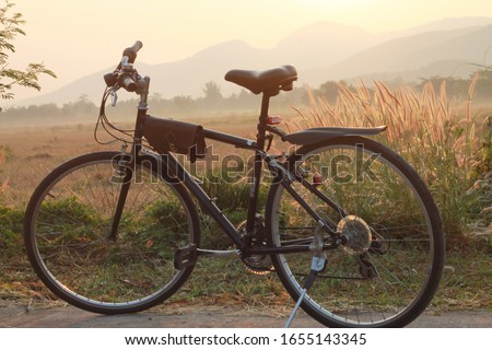 Black bicycle parked in the rice field