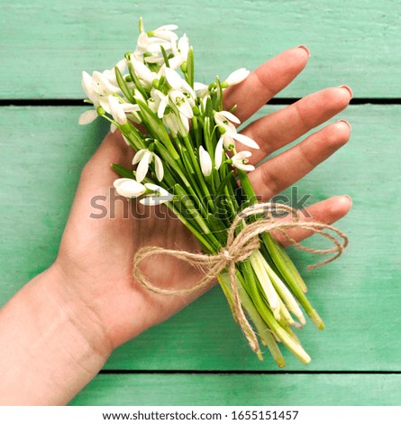 
bouquet of snowdrops in a female hand on a green background