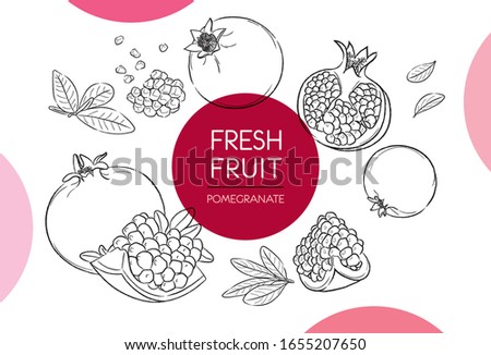 Fresh fruit illustrations collection isolated. Pomegranate set vector drawing, organic food hand drawn, pomegranate and sliced pieces with red circle on white background Royalty-Free Stock Photo #1655207650