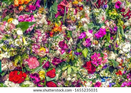 Flower petal wall for decoration Royalty-Free Stock Photo #1655235031