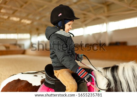 young jockey boy riding horse, horseback training on manege,  lesson for young jockey in equestrian school or club, pet animal 
 Royalty-Free Stock Photo #1655235781