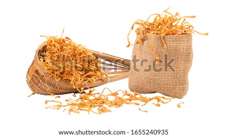 Golden cordyceps isolated on background with clipping path.
