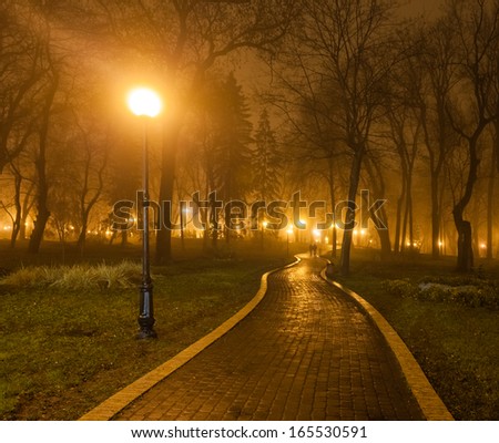 romantic and happiness scene of couples foggy evening in the park