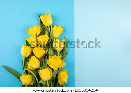 Yellow tulips flowers on blue background.Symbol of spring.Mother's Day, Birthday, Valentine's Day. Concept of holiday.Flowers composition.Flat lay, top view, copy space