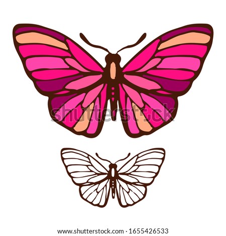 Butterfly colorful and line art set isolated on white background. Hand drawn ink illustration. Stock vector design for coloring book page