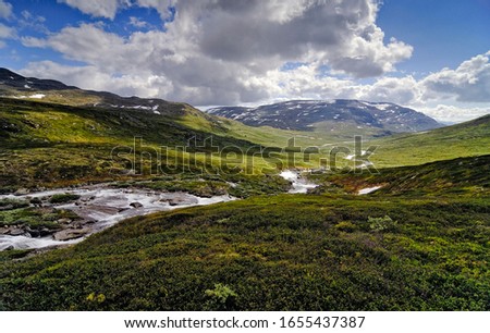 Dovrefjell-Sunndalsfjella National Park, Norway, Scandinavia, Europe Royalty-Free Stock Photo #1655437387