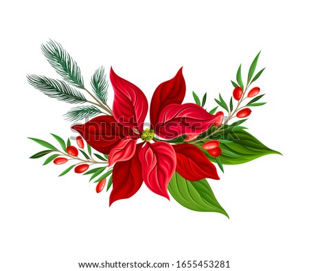 Euphorbia Red Flower Arranged with Fir Tree Twigs and Red Berries Branch Vector Illustration