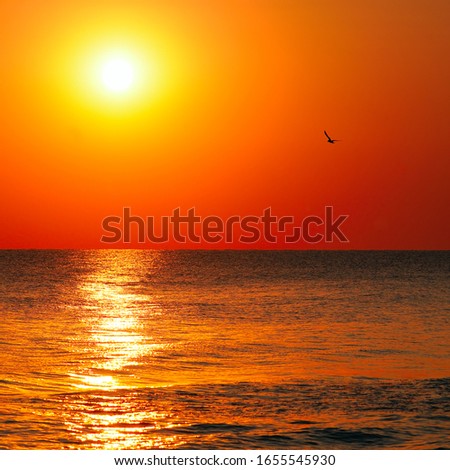 Bright sun rise over the sea. The concept is travel.