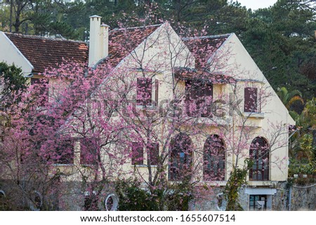 the abstract of spring in the old architecture at dalat city, vietnam