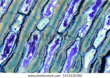 
A colorful background with a texture based on a mammoth tooth. Painted with liquid dyes in purple and blue colors.