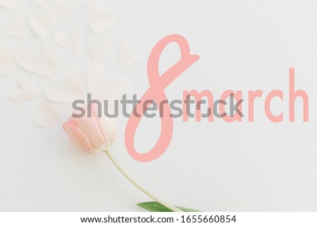 8 march. Happy womens day greeting card. 8 march text on pink tulip flat lay on white background. Stylish tender minimalistic image. Handwritten lettering. International women's day