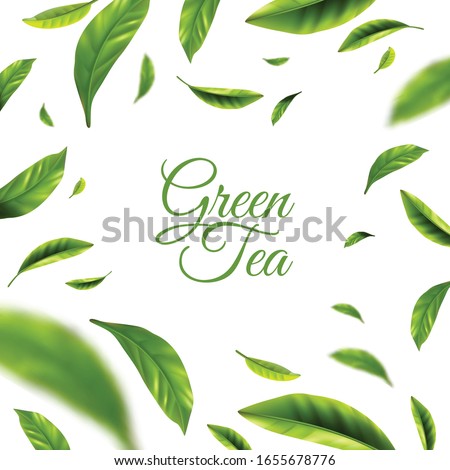 Green tea background with frame of scattered green leaves around text abstract vector illustration