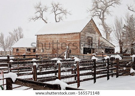 Old cattle barn in snow fall