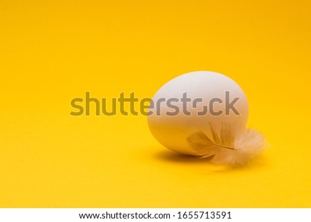 one egg and feathers on yellow background. easter concept design for advertise
