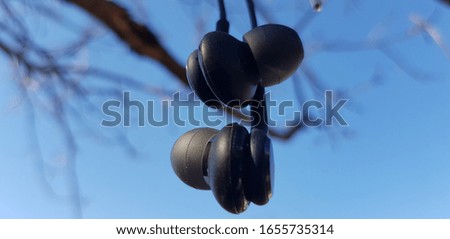 A pair of vacuum headphones hang on a bare branch of a nut in the blue sky.