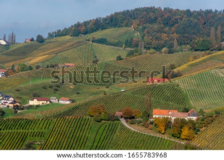 Beautiful vineyards of Stajerska Slovenia, wine producing area. View of green vineyards, rolling hills, cellars. Steyer wine area. Natural agricultural landscape.