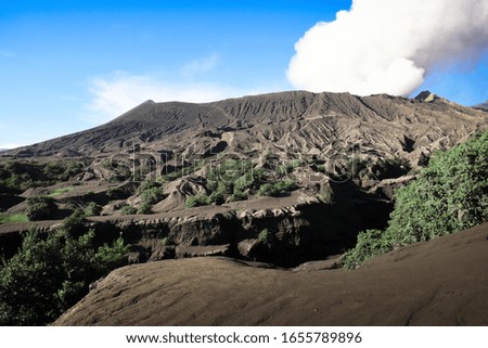 BROMO, JAVA, INDONESIA : 04/17/2019: Picture of an area covered with volcanic ash in the time of actived Bromo Crater at Bromo Tengger Semeru National Park